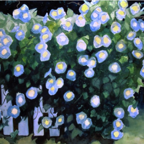 Morning Glories
22x30 Morning Glories
22x30